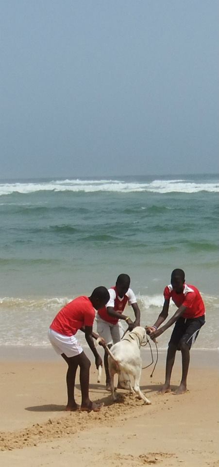 10382717_10152591704541506_2500854761704458824_n