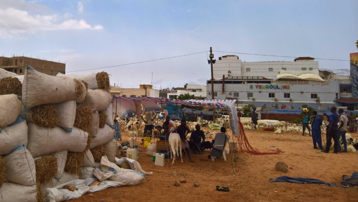 wp_20160907_14_07_37_pro-2