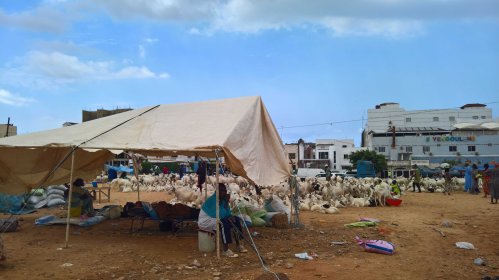 wp_20160907_14_07_39_pro