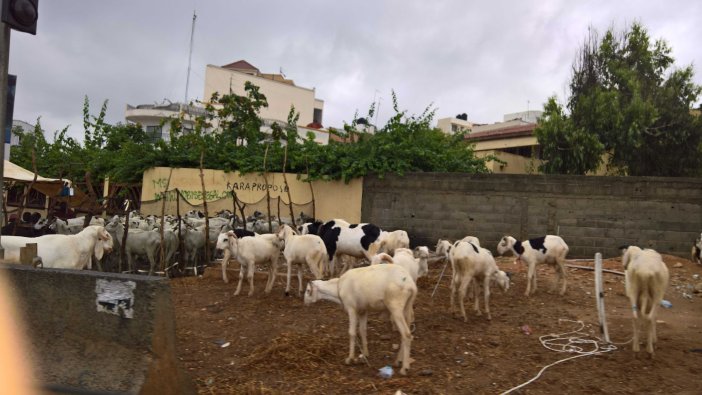 wp_20160907_15_56_09_pro