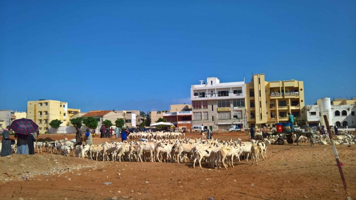 WP_20160909_09_40_36_Pro